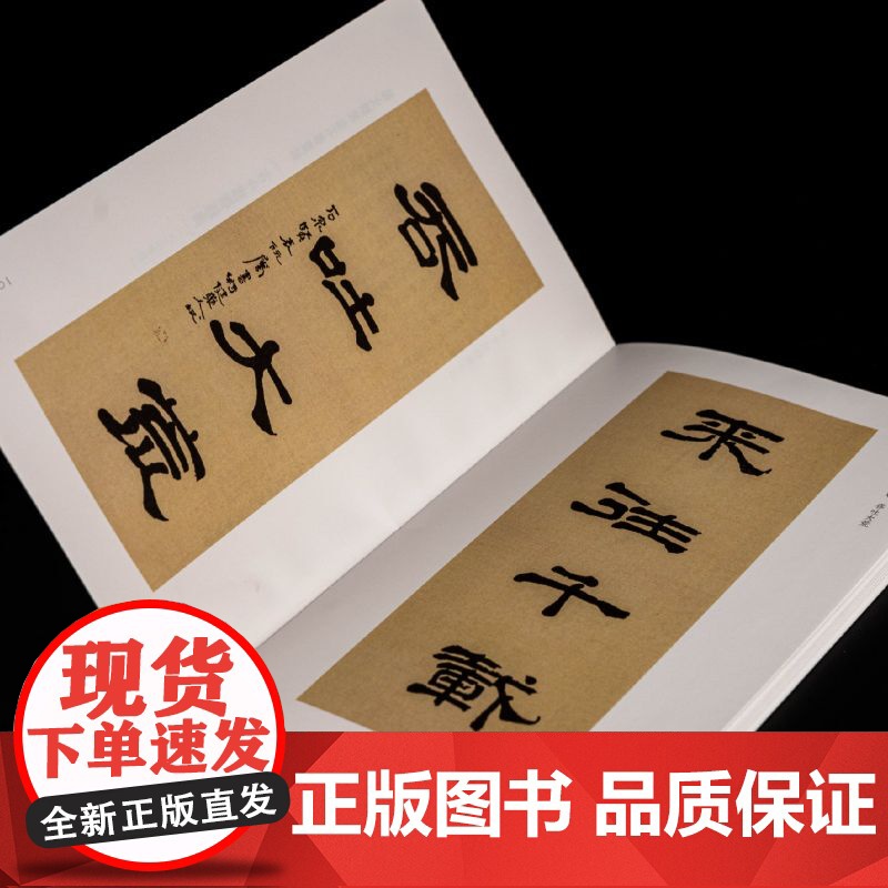高野侯辑楹联墨迹大观百品 精选100副对联春联门联作品集传统文化春联集锦精粹名家毛笔书法字帖临摹作品正版篆隶楷行草书古今高清大图