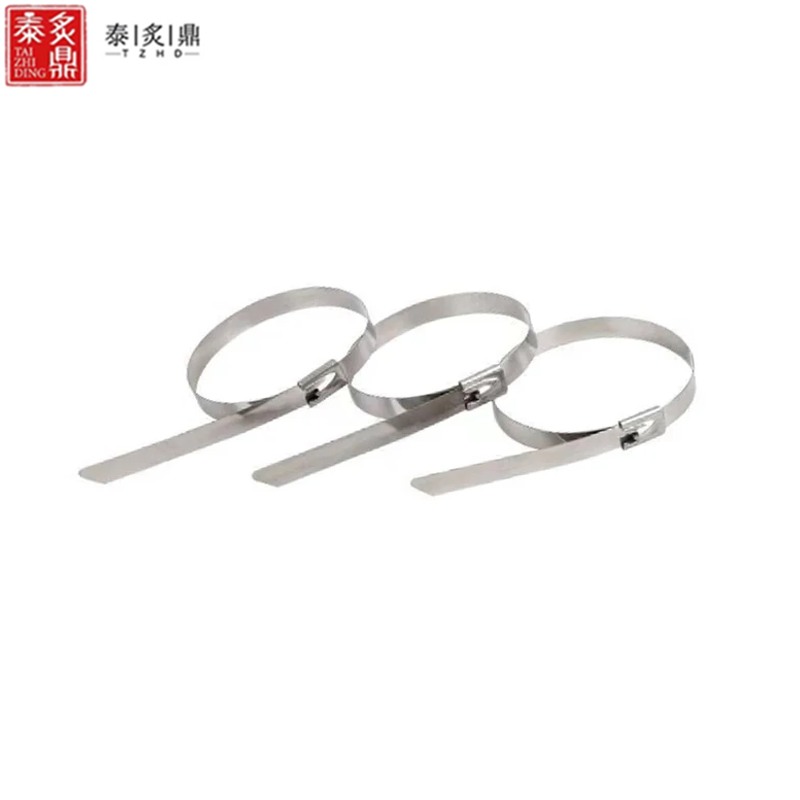 泰炙鼎 不锈钢扎带 12*1000mm 根高清大图