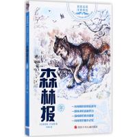 森林报 (苏)维塔里·比安基 著;韦苇 译 著作 著 少儿 文轩网