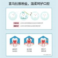 喜马拉雅粉盐牙膏去去口臭口气清新护龈学生男女家庭装 防蛀护龈(冰爽雪莲)100G