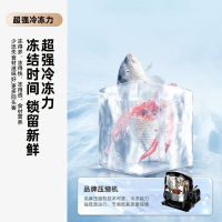 新飞(FRESTEC) 183升 双门小型家用节能冷藏冷冻电冰箱BCD-183KT