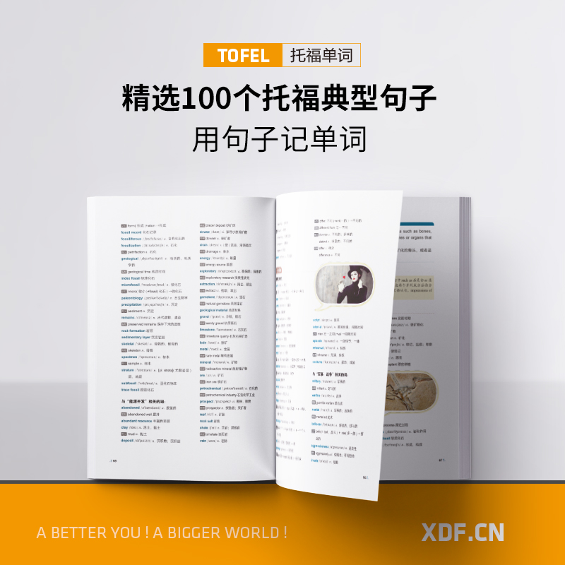 [单词书+练习册]100个句子记完7000个托福单词+学练测 [正版]书店 100个句子记完7000个托福单词 托高清大图