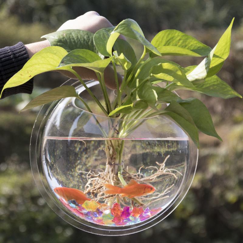 壁挂水养绿萝花瓶盆墙壁装饰器皿墙面挂饰创意立体家居客厅墙装饰 透明款 15厘米 送石头+植物