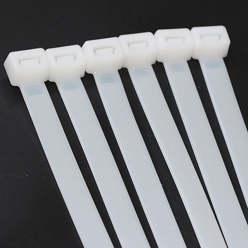 耐寒耐候尼龙扎带高清大图