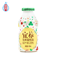 宜养经典小清新乳酸菌100ml*12瓶 酸奶饮品