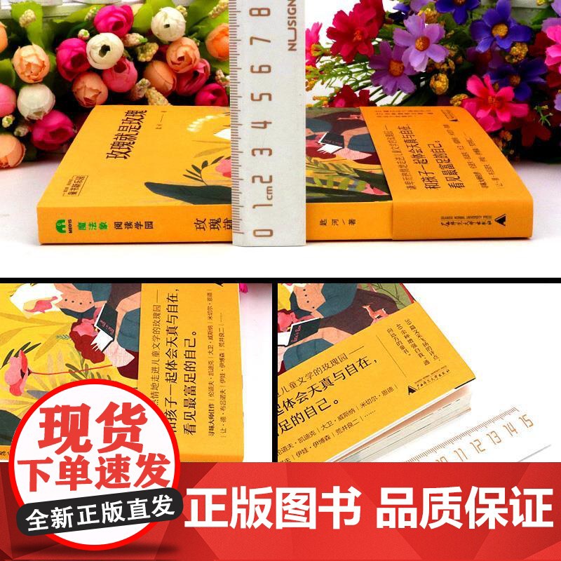 魔法象·阅读雪园·童书新乐园:玫瑰就是玫瑰匙河9787559815477广西师范大学出版社考研(新)高清大图