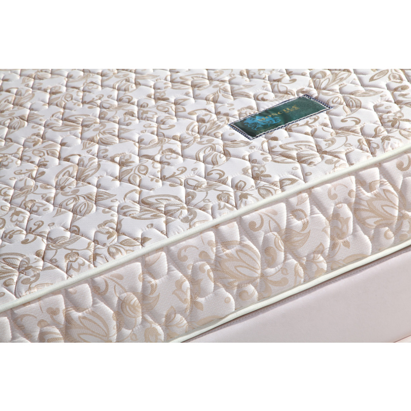 梦斯蓝床垫加厚床垫健康护脊床垫高级健康12米15米18米适中硬度两用