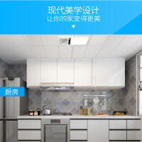 巴斯博奥 凉霸 300X600照明换气吹风多功能厨房智能凉霸 按键款