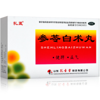孔孟 参苓白术丸 6g*10袋/盒 健脾益气体倦乏力食少便溏