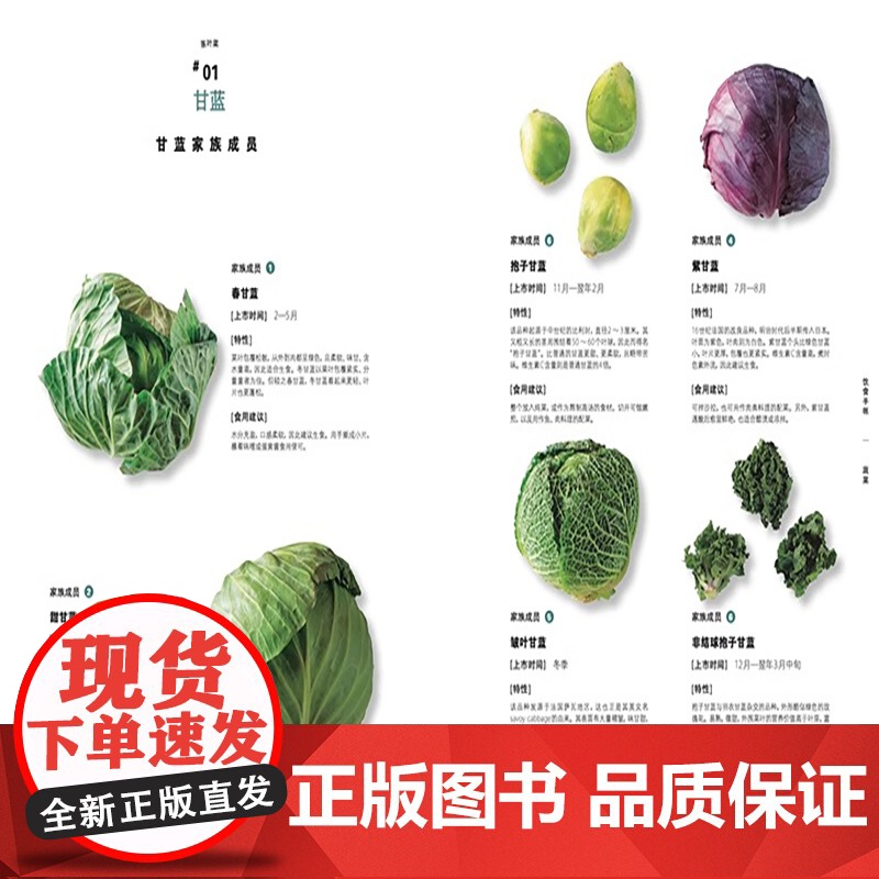 [央视网]饮食手帐系列 蔬菜 肉料理 面包 葡萄酒 咖喱 拉面 世界美食菜谱教程 米其林食物做法 家庭烹饪知识技巧书 饮高清大图