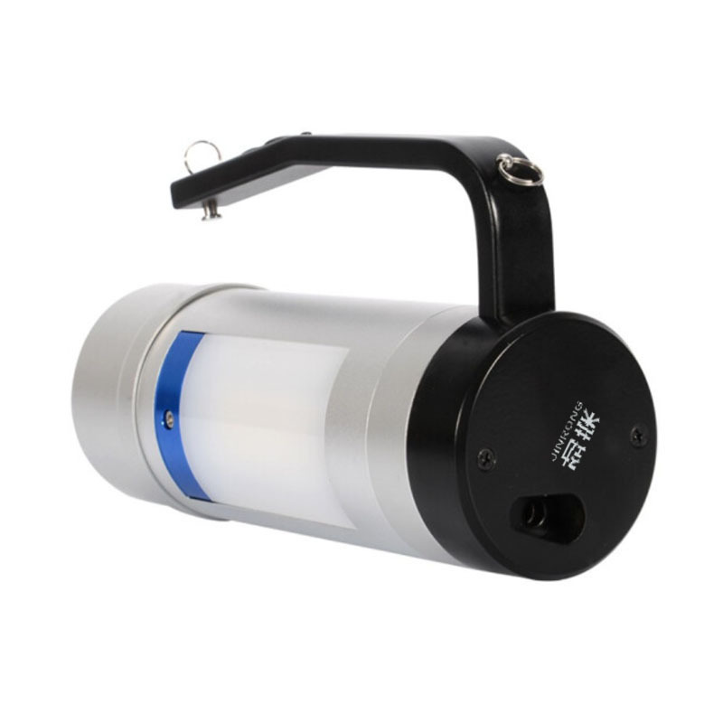 劲荣(JINRONG)BWJ6310-A 12W 多功能灯(计价单位:盏)银色