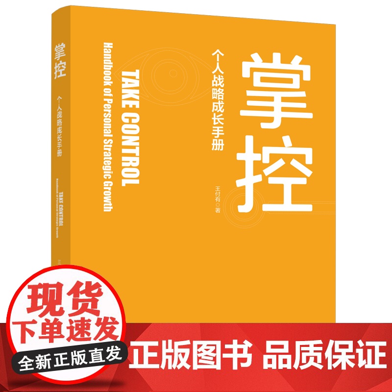 掌控 个人战略成长手册1000多个职业咨询案例进行归纳总结结合职业发展理论指导又实操工具使用的书 中国工人出版社店高清大图
