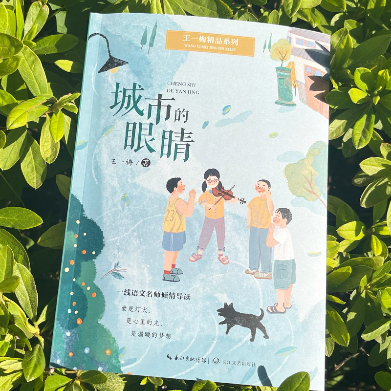 王一梅精品系列《城市的眼睛》 [正版]城市的眼睛王一梅精品系列 儿童文学小学生课外阅读书籍6-9-12周岁故事书籍二三四