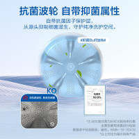 海尔(Haier)8公斤 家用 全自动波轮洗衣机 自编程 速洗 除菌 洗漂脱可调 消费补贴 清新换风XQB80-Z606