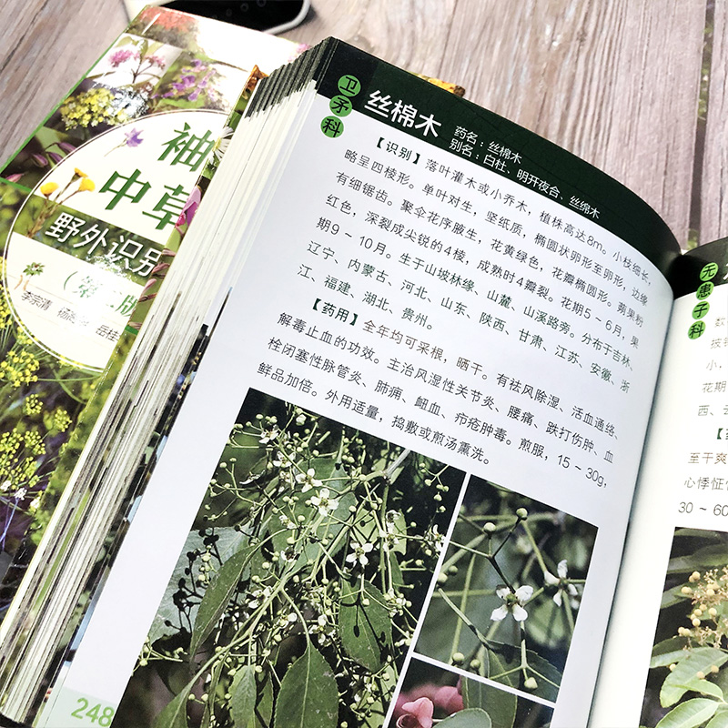 [正版]书籍 袖珍中草药野外识别图鉴 第二版 李宗清杨高华岳桂华编野外采药识别中草药口袋书中医药医师学生中草药爱好者参考高清大图