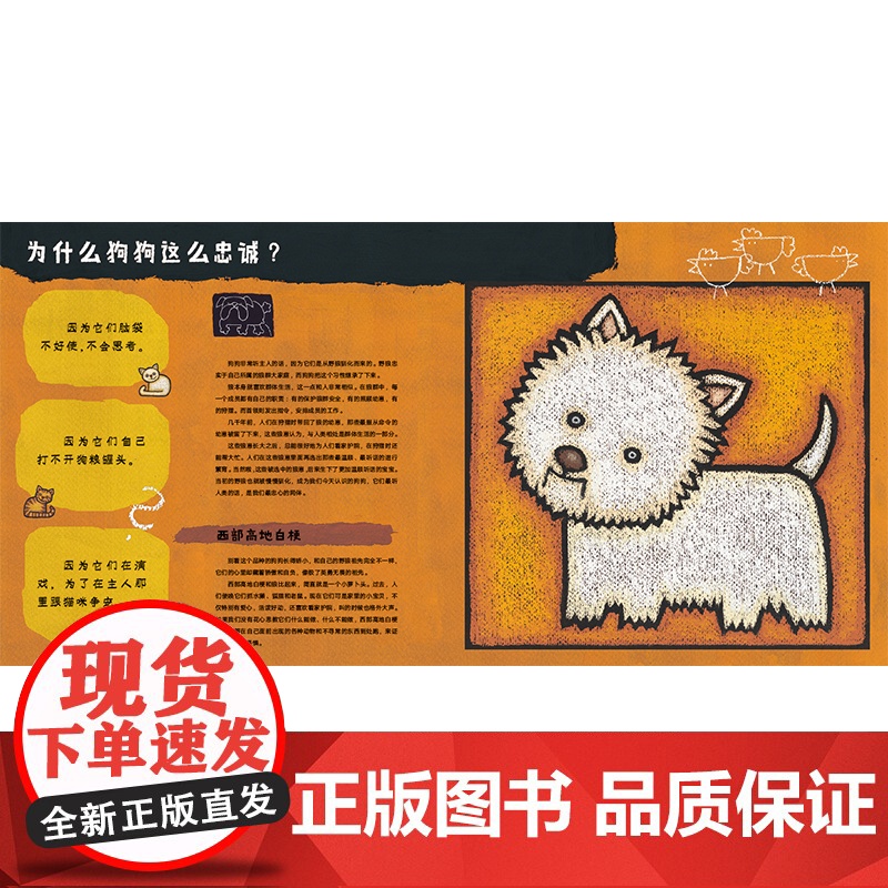 为什么狗狗这么忠诚 魔法象 图画书国 趣味轻科普图画书 斯洛文尼亚国*级图画书作家莉娜布拉普系列代表作 绘本图画书 广高清大图