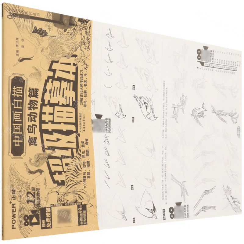 [N]中国画白描(禽鸟动物篇)/超级描摹本/正能文化系列丛书-9787554709900高清大图