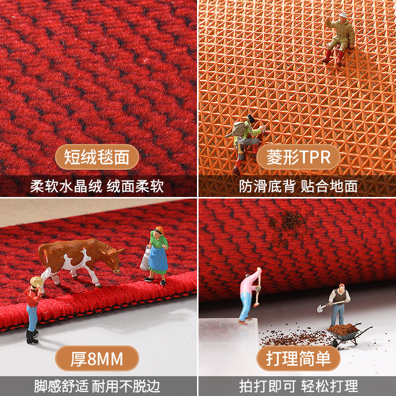 2025新款入户门脚垫进户门垫子家用进门口耐脏防滑地垫室内地毯