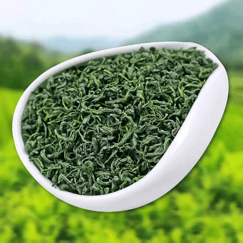 海茗清 精品绿茶 250g 袋图片