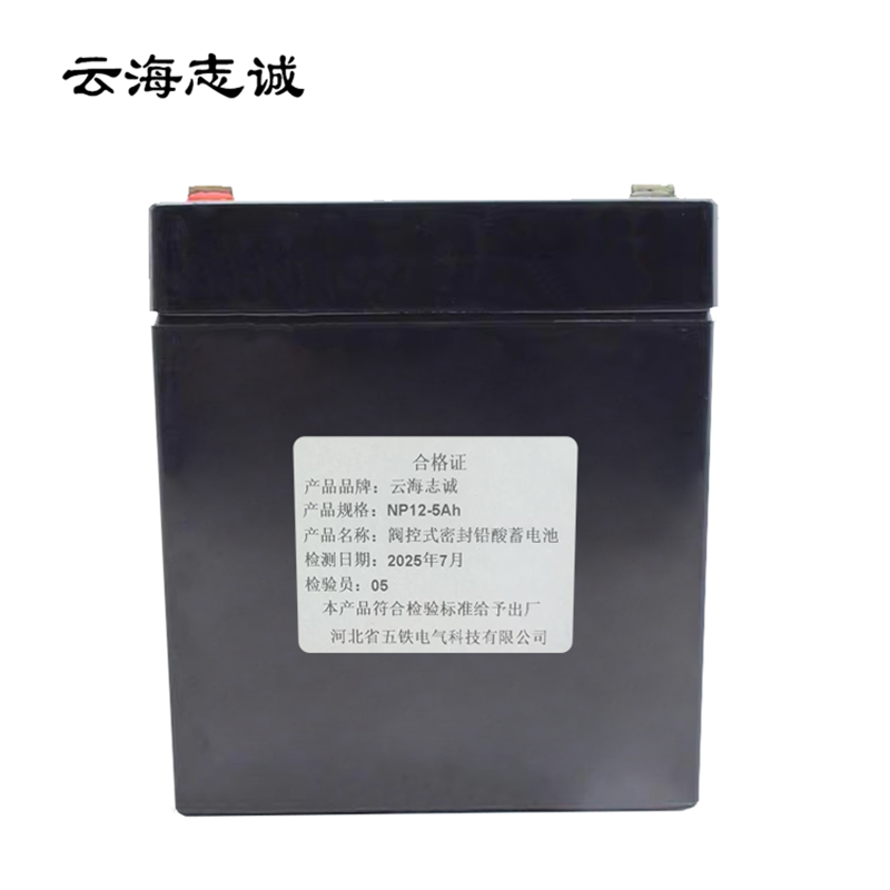 阀控式密封铅酸蓄电池 NP12-5Ah 1只