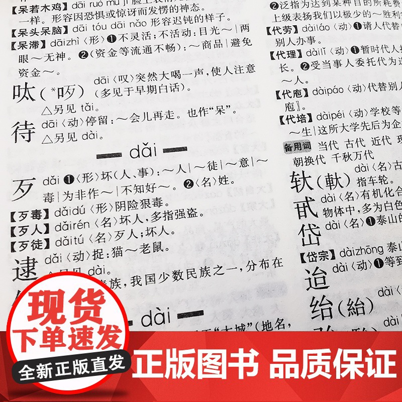 实用现代汉语词典高清大图