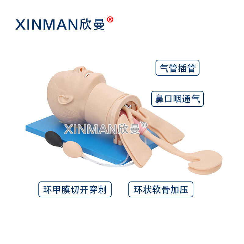 欣曼科教 高级气道管理模拟人 气管插管操作训练模型 卫勤训练模拟器材XM-QD12高清大图