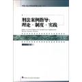 刑法案例指导--理论制度实践/中国人民大学刑法学博士文丛