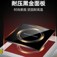 寒箭 商用电磁炉 5000w平面台式商业煲汤炉大功率电磁电炉灶设备酒店商用爆炒电磁炉商用 电磁炉家用