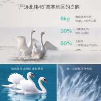 迪欧达羽绒服女短款2019时尚轻薄无帽修身显瘦保暖外套冬季新款