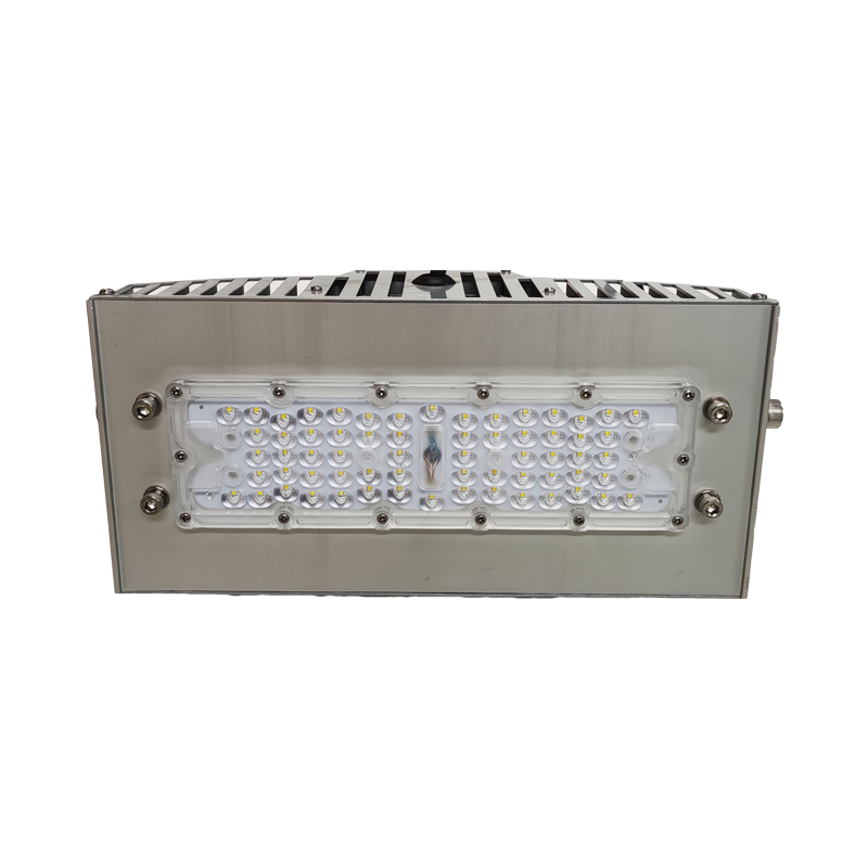 宝富睿光电 BFL3050T AC220V IP66 LED投光灯-(60W)(含安装)(计量单位:套)银色