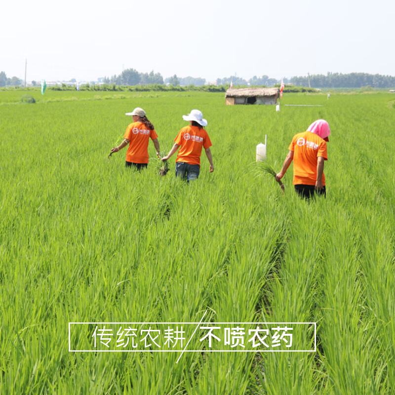 米妹妹鲜香贡米2.5kg M081高清大图