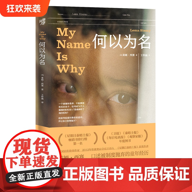 正版《何以为名》一名弃儿用十年挣脱命运 揭示英国福利系统的隐秘角落传记 励志单亲妈妈寻亲拐卖遗弃跨文化研究高清大图