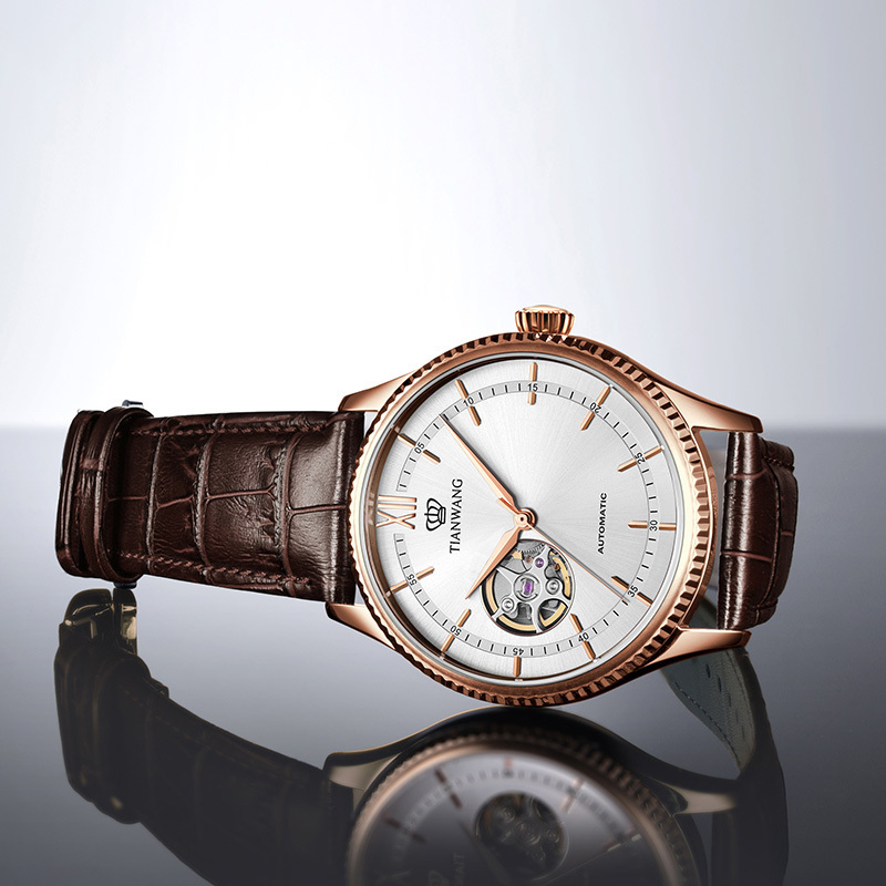 天王表男表昆仑系列机械表皮带休闲男士手表腕表gs51154