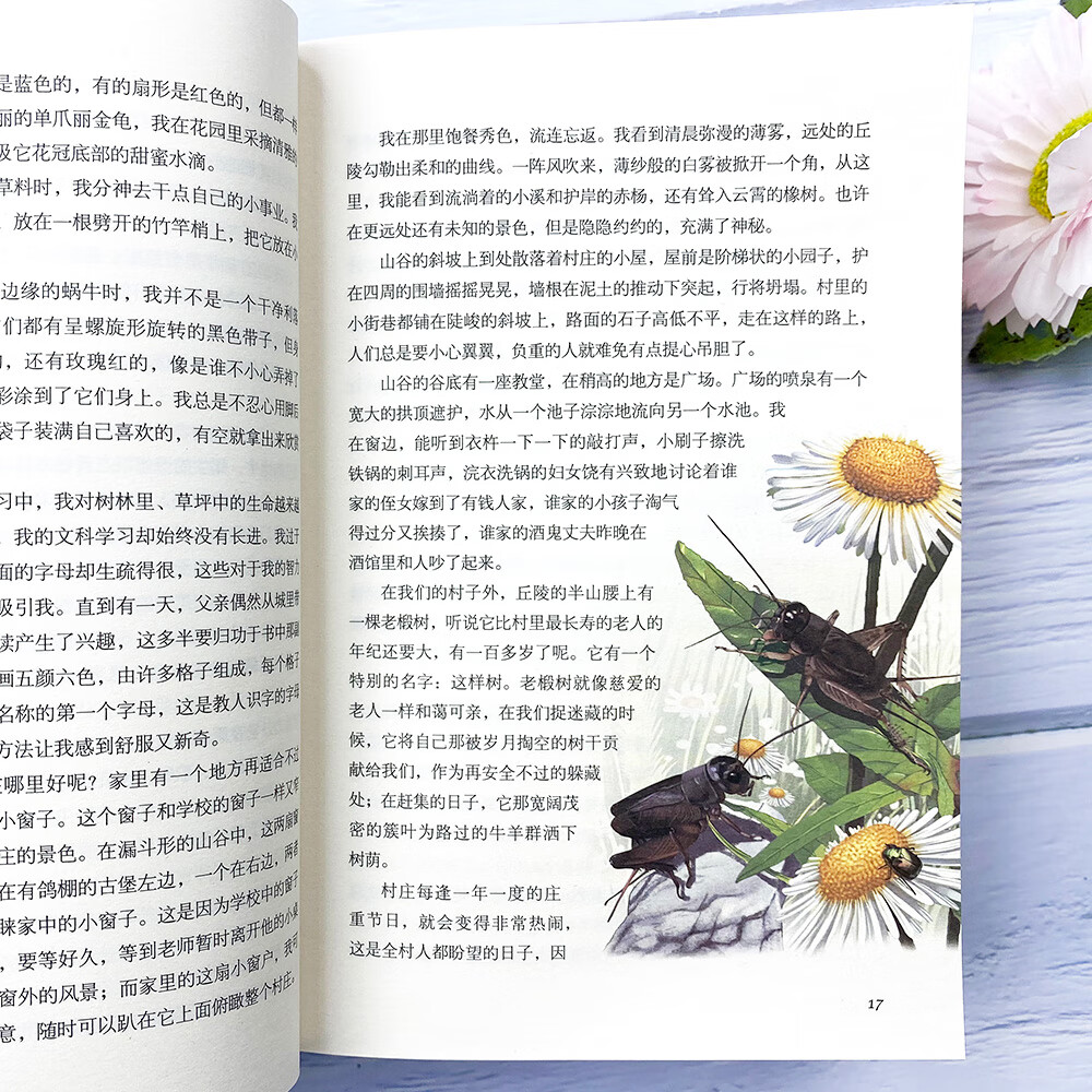 法布尔昆虫记正版原著完整版昆虫记彩图版科普八年级上初中课外阅读书籍昆虫图鉴昆虫百科全书昆虫书籍昆虫记光波译文学书 昆虫记高清大图