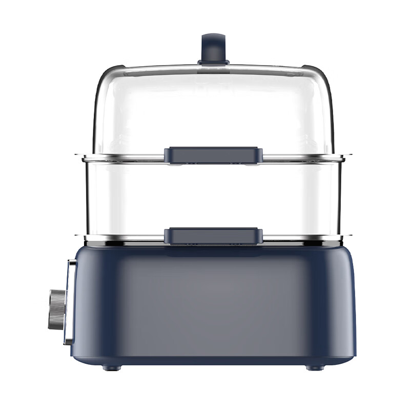 九阳(Joyoung)10L双层电蒸锅DZ100HG-GZ666高清大图