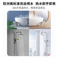 博世35KW冷凝型两用炉LL1GBQ35-(ZWB35-3A G)