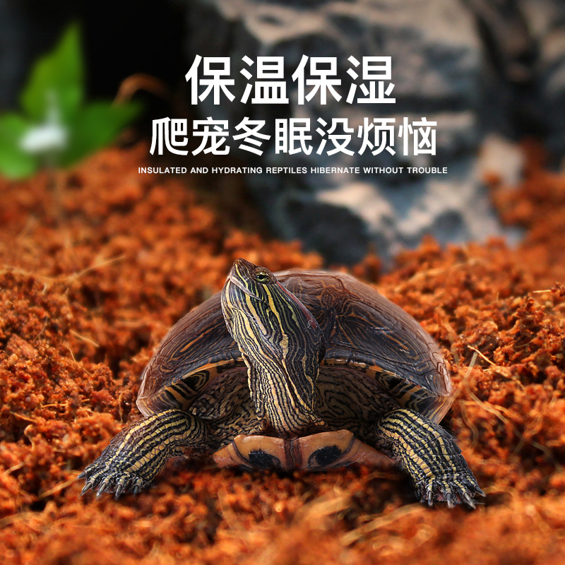 乌龟椰砖爬宠无菌家用营养椰土苔藓乌龟冬眠角蛙蜥蜴守宫爬虫垫材高清大图