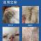 猫咪油尾巴黑下巴清洁猫咪油脂猫持续减少猫咪油脂分泌猫香波猫用 猫油净试用装加猫免洗香波