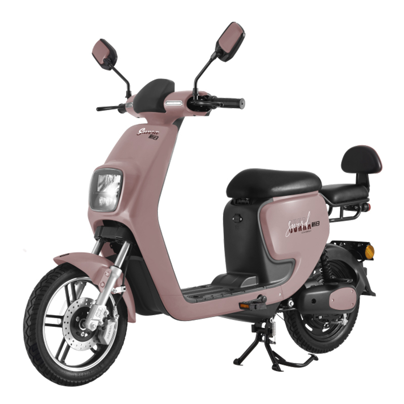 新日(Sunra)电动车 新国标 风迈S2 电动自行车 48V锂电成人电瓶车 男女式助力踏板车轻便代步车 钻石雅蓝
