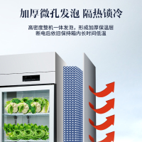 澳柯玛(AUCMA)VC-1380AJ两门展示柜冷藏保险柜商用点菜柜饮料柜两门开门立式