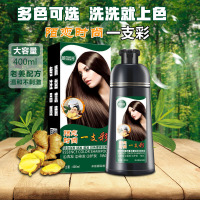 一支彩染发剂一洗彩洗发水一洗黑一支黑染发膏流行色栗棕色 遮盖白发自己在家染发
