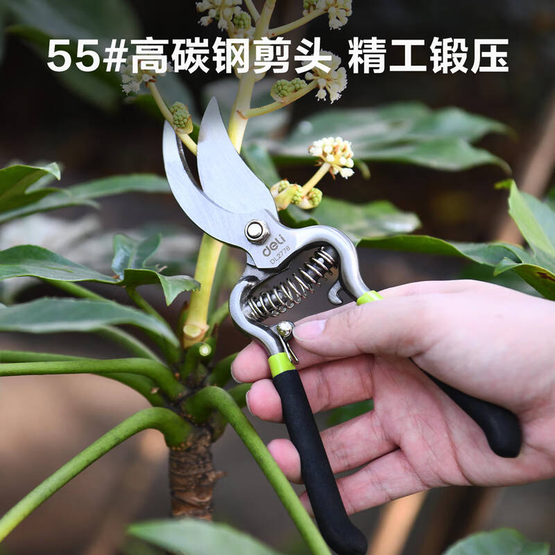 得力工具DL2778_不锈钢直嘴花木剪8“(新VI)高清大图