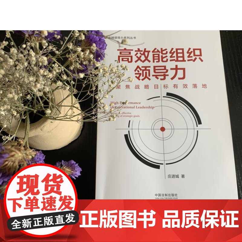 高效能组织领导力 庄进城 著 管理高清大图