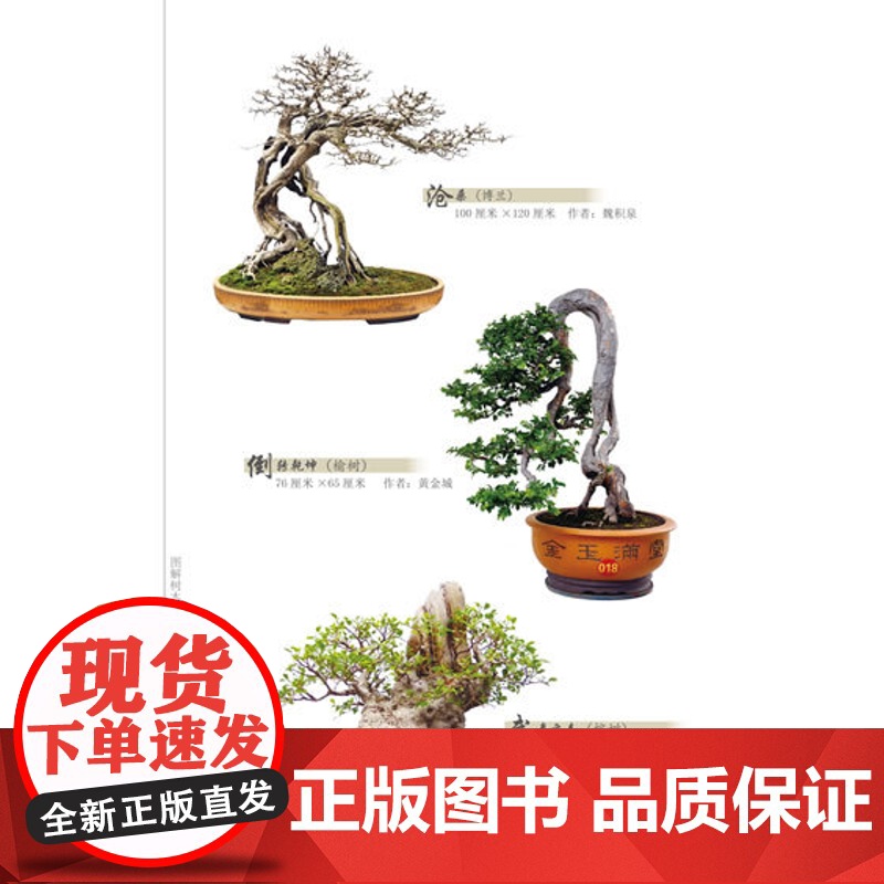 [店] 图解树木盆景制作与养护 盆景入门教程书 盆景制作技巧参考书 树木盆景造型艺术书 盆景养护管理书籍高清大图