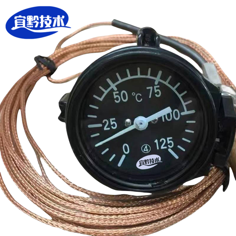 宜黔技术 指针式遥测温度计 5L8L 支