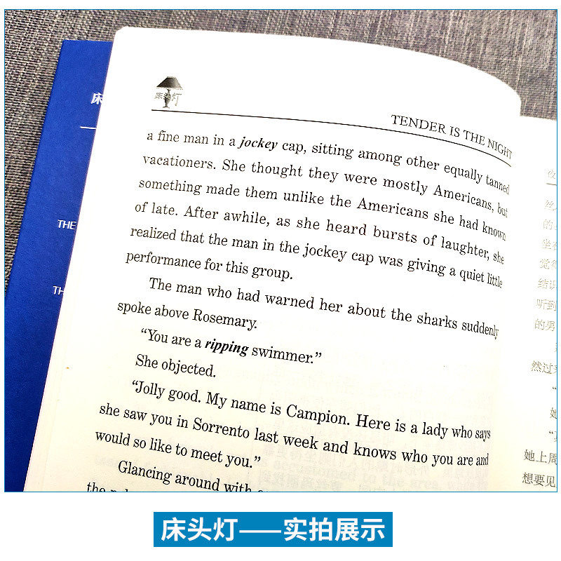 夜色温柔英语原版英汉互译双语课外读物中英文对照正版书籍初中高中大学生四六级分级阅读英文版小说原著读本名著床头灯5000词