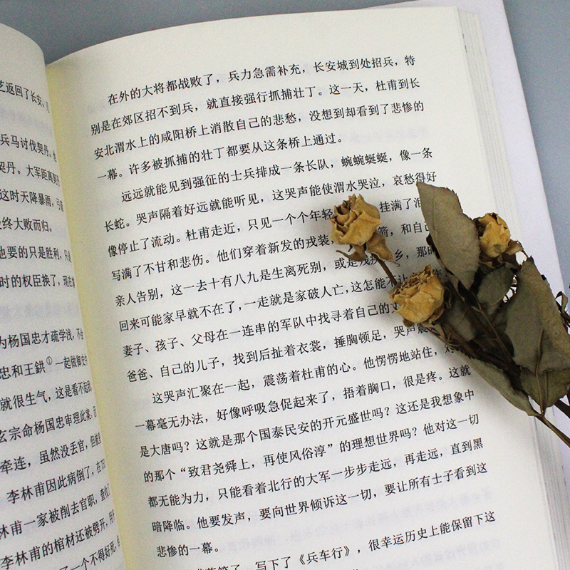 [正版]杜甫传 精装硬壳 初中生高中生语文配套阅读书籍中国历史人物名人传记自传综合文学书籍唐代诗圣杜甫的传奇人生经典传高清大图