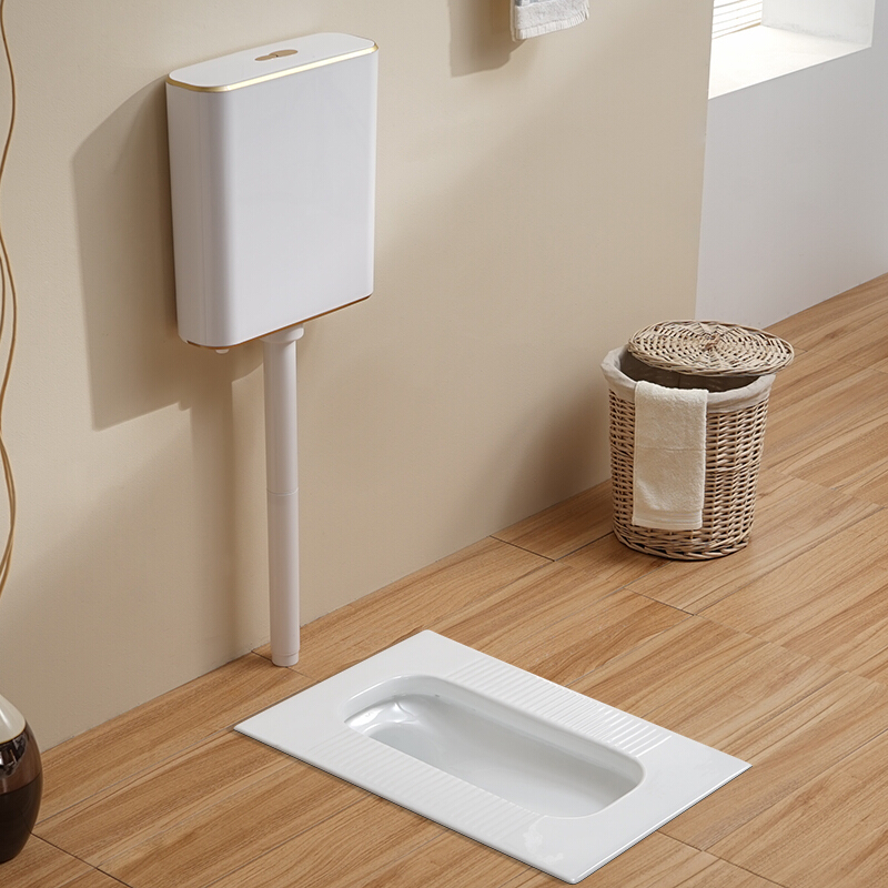 水箱家用卫生间冲厕器冲水箱厕所蹲便器蹲坑节能大冲力壁挂式波迷娜