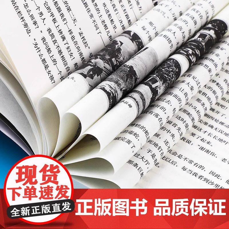 独闯天下 罗尔德达尔作品典藏 6-9-12岁儿童文学经典名著读物国际大奖小说 四五六年级小学生课外书外国儿童文学小说故事高清大图
