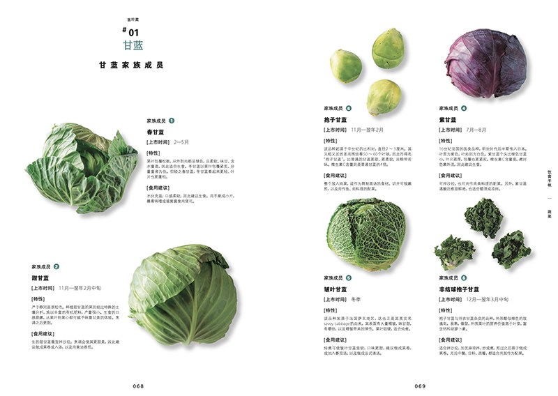 [醉染正版]正版 蔬菜 饮食手帐系列 108种蔬菜的吃法 27款绿色健康食谱 素食主义 四季蔬菜百科 健身餐 时令蔬菜高清大图